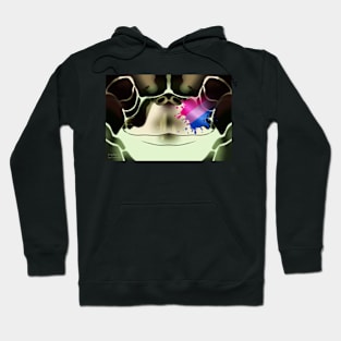 Bisexual Sea Turtle Face Hoodie